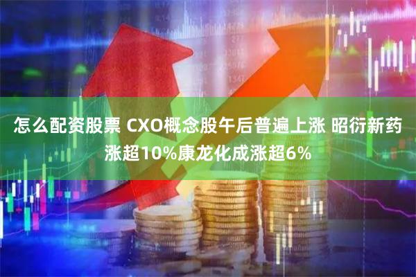 怎么配资股票 CXO概念股午后普遍上涨 昭衍新药涨超10%康龙化成涨超6%