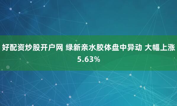 好配资炒股开户网 绿新亲水胶体盘中异动 大幅上涨5.63%